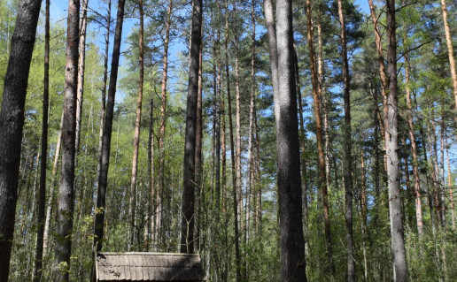 1_dvikamiene pusis (2)_r1.jpg